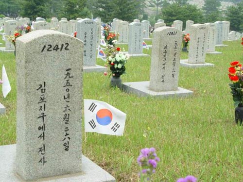 1950년대 묘역에는 인적이 없다 